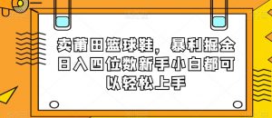 卖莆田篮球鞋，暴利掘金日入四位数新手小白都可以轻松上手【揭秘】-520资源库