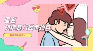 全网首发，揭秘超冷门匿名短信项目，通过信息差日入几百+【揭秘】-520资源库