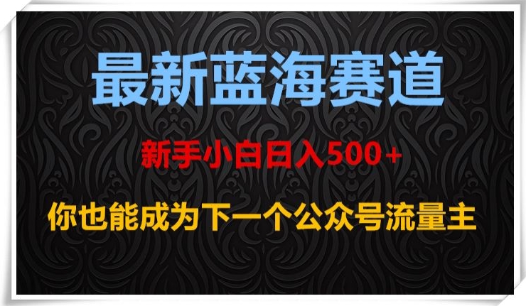 最新蓝海赛道，新手小白日入500+，你也能成为下一个公众号流量主【揭秘】-520资源库
