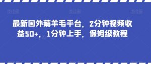 最新国外薅羊毛平台，2分钟视频收益50+，1分钟上手，保姆级教程【揭秘】-520资源库