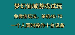 梦幻仙域游戏试玩，免微信玩法，单机40-70，一个人同时操作十台设备【揭秘】-520资源库