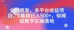 全网首发，多平台收益项目，0基础日入500+，保姆级教学实操落地【揭秘】-520资源库