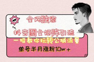 全网独家抖音图文矩阵引流，一招教你玩转公域流量，单号半月涨粉10w+【揭秘】-520资源库