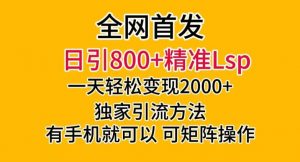 全网首发！日引800+精准老色批，一天变现2000+，独家引流方法，可矩阵操作【揭秘】-520资源库