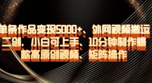 单条作品变现5000+、外网视频搬运二创，小白可上手，10分钟制作爆款高原创视频，矩阵操作【揭秘】-520资源库