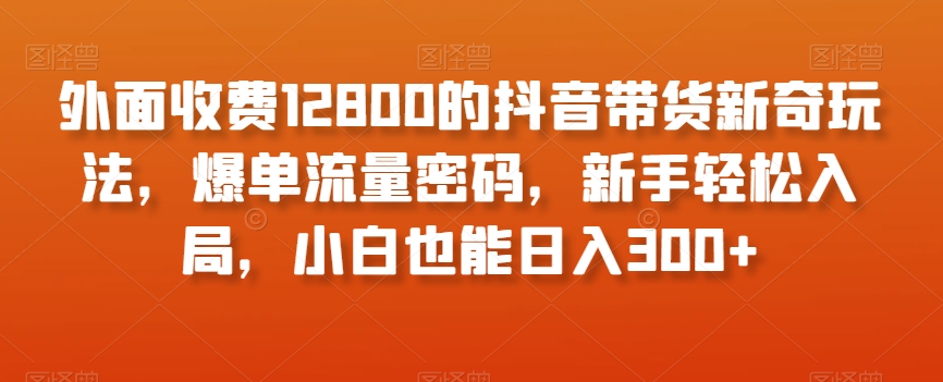 外面收费12800的抖音带货新奇玩法，爆单流量密码，新手轻松入局，小白也能日入300+【揭秘】-520资源库