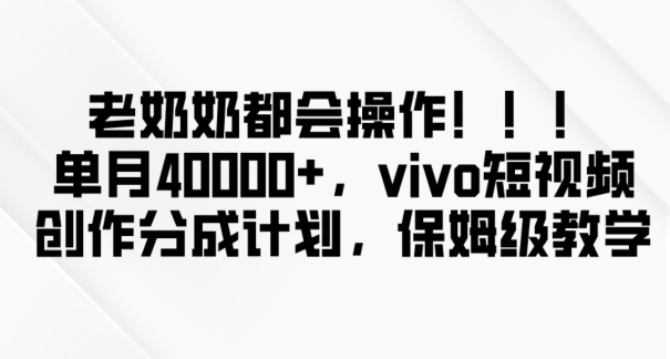老奶奶都会操作，新平台无脑操作，单月40000+，vivo短视频创作分成计划【揭秘】-520资源库