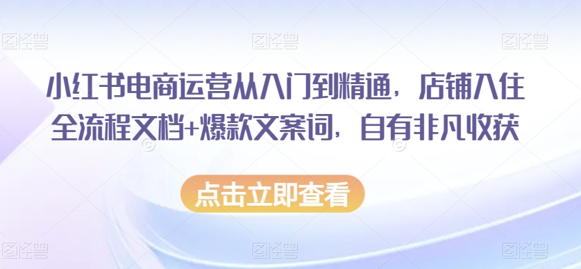 小红书电商运营从入门到精通，店铺入住全流程文档+爆款文案词，自有非凡收获-520资源库