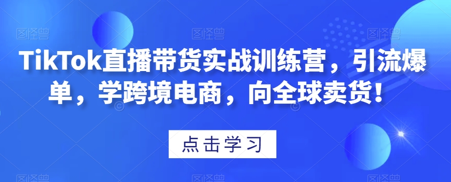 TikTok直播带货实战训练营，引流爆单，学跨境电商，向全球卖货！-520资源库