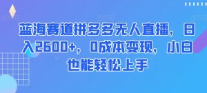 蓝海赛道拼多多无人直播，日入2600+，0成本变现，小白也能轻松上手【揭秘】-520资源库