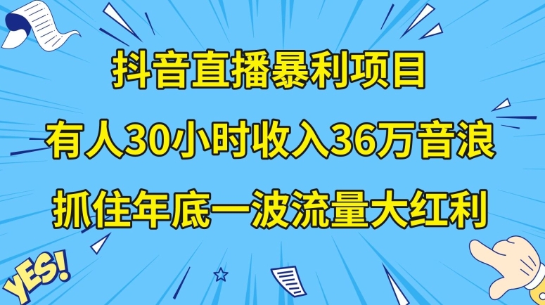 抖音直播暴利项目，有人30小时收入36万音浪，公司宣传片年会视频制作，抓住年底一波流量大红利【揭秘】-520资源库