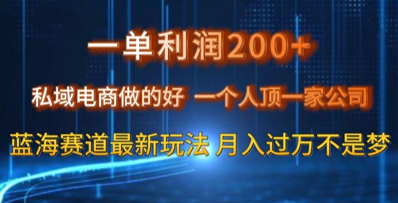 一单利润200私域电商做的好，一个人顶一家公司蓝海赛道最新玩法【揭秘】-520资源库