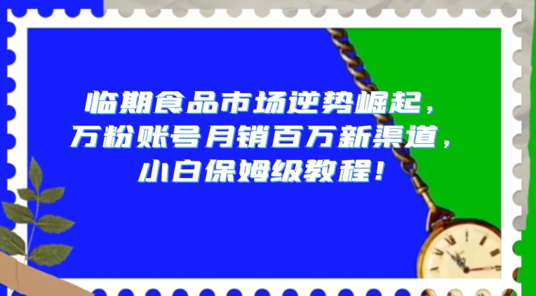 临期食品市场逆势崛起，万粉账号月销百万新渠道，小白保姆级教程【揭秘】-520资源库