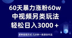 60天暴力涨粉60W，中视频另类玩法，日入3000＋，几分钟一条原创作品多种变现方式-520资源库