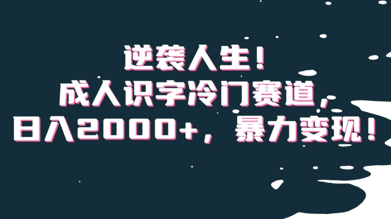 逆袭人生!成人识字冷门赛道,日入2000+,暴力变现!【揭秘】-520资源库