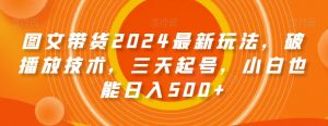 图文带货2024最新玩法，破播放技术，三天起号，小白也能日入500+【揭秘】-520资源库
