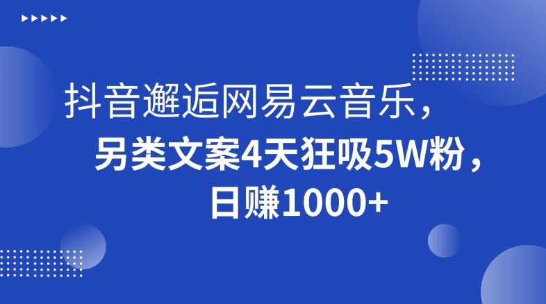 抖音邂逅网易云音乐，另类文案4天狂吸5W粉，日赚1000+【揭秘】-520资源库