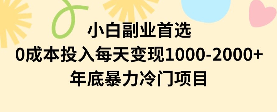 小白副业首选，0成本投入，每天变现1000-2000年底暴力冷门项目【揭秘】-520资源库