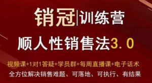 爆款！销冠训练营3.0之顺人性销售法，全方位解决销售难题、可落地、可执行、有结果-520资源库