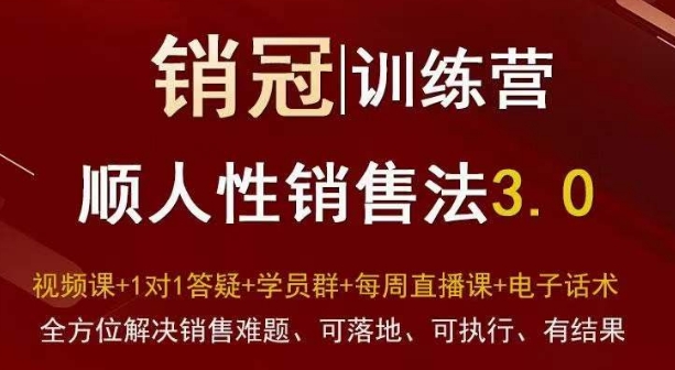 爆款！销冠训练营3.0之顺人性销售法，全方位解决销售难题、可落地、可执行、有结果-520资源库
