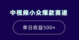 中视频小众爆款赛道，7天涨粉5万+，小白也能无脑操作，轻松月入上万【揭秘】-520资源库