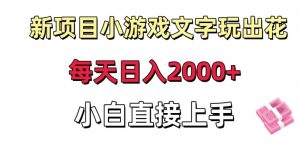 新项目小游戏文字玩出花日入2000+，每天只需一小时，小白直接上手【揭秘】-520资源库