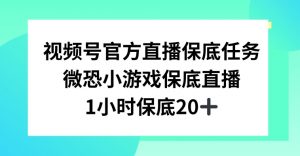 视频号直播任务，微恐小游戏，1小时20+【揭秘】-520资源库