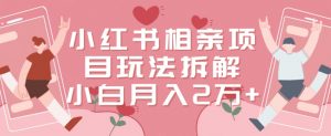 小红书相亲项目玩法拆解，有人通过这个副业项目做到了月收入2万多【揭秘】-520资源库