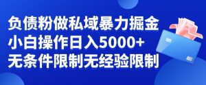 负债粉私域暴力掘金，小白操作入5000，无经验限制，无条件限制【揭秘】-520资源库