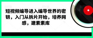 短视频编导进入编导世界的密钥，入门从拆片开始，培养网感，建素素库-520资源库