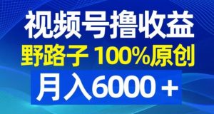 视频号野路子撸收益，100%原创，条条爆款，月入6000＋【揭秘】-520资源库
