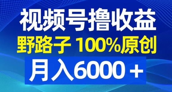 视频号野路子撸收益，100%原创，条条爆款，月入6000＋【揭秘】-520资源库