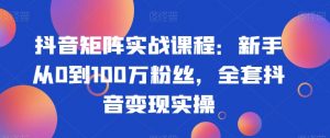 抖音矩阵实战课程:新手从0到100万粉丝,全套抖音变现实操-520资源库