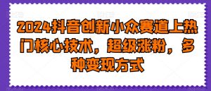 2024抖音创新小众赛道上热门核心技术，超级涨粉，多种变现方式【揭秘】-520资源库
