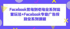 Facebook菜鸟到老鸟全系列运营玩法+Facebook专业广告投放全系列课程-520资源库