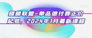 臻曦联盟-单品微付费正价起号，2024年1月最新课程-520资源库