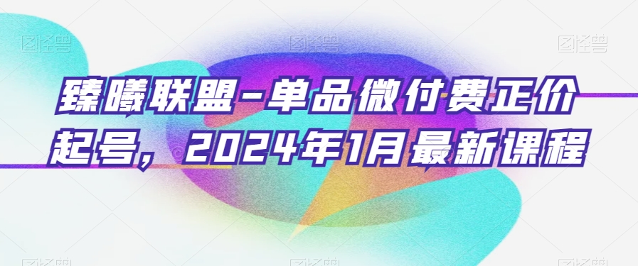 臻曦联盟-单品微付费正价起号，2024年1月最新课程-520资源库