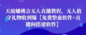 天庭蟠桃会无人直播教程，无人值守礼物收到爆【免费整蛊软件+直播间搭建软件】-520资源库