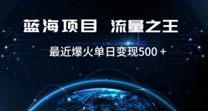 好评返现项目，稳定，小白速学月入过万【仅揭秘】-520资源库