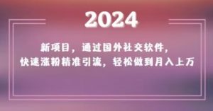 2024新项目，通过国外社交软件，快速涨粉精准引流，轻松做到月入上万【揭秘】-520资源库