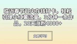 临近春节超火存钱打卡，轻松引爆小红薯流量，3分钟一条作品，20天涨粉4000+【揭秘】-520资源库