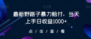 最新野路子暴力赔付，当天上手日收益1000+【仅揭秘】-520资源库