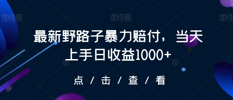最新野路子暴力赔付，当天上手日收益1000+【仅揭秘】-520资源库
