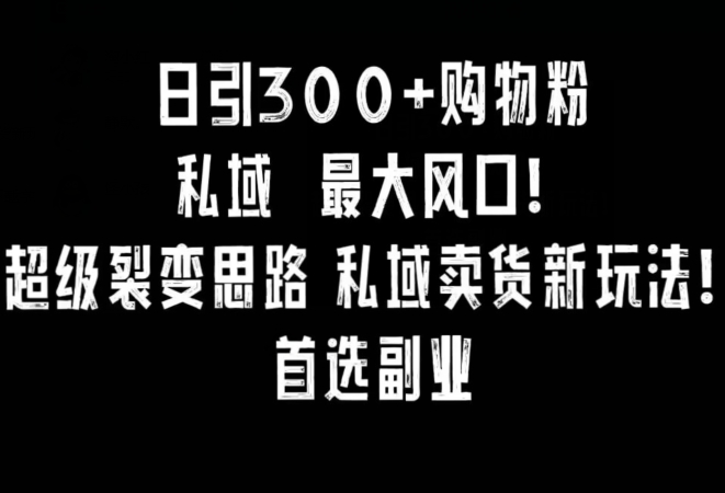 日引300+购物粉，超级裂变思路，私域卖货新玩法，小红书首选副业【揭秘】-520资源库