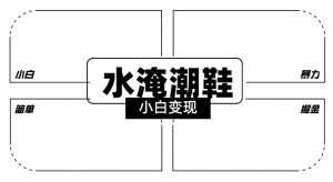 2024全新冷门水淹潮鞋无人直播玩法，小白也能轻松上手，打爆私域流量，轻松实现变现【揭秘】-520资源库