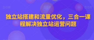 独立站搭建和流量优化,三合一课程解决独立站运营问题-520资源库