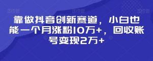 靠做抖音创新赛道，小白也能一个月涨粉10万+，回收账号变现2万+【揭秘】-520资源库