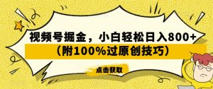 视频号掘金，小白轻松日入800+（附100%过原创技巧）【揭秘】-520资源库