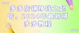 多多店铺挣钱之起店，2024年最新拼多多教程-520资源库