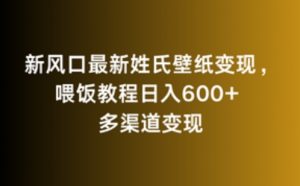 新风口最新姓氏壁纸变现，喂饭教程日入600+【揭秘】-520资源库